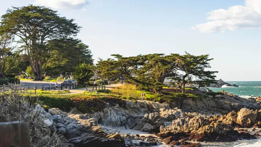 monterey car
